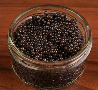 خاویار ایرانی؛ میراثی لوکس از دل آب‌های خزر