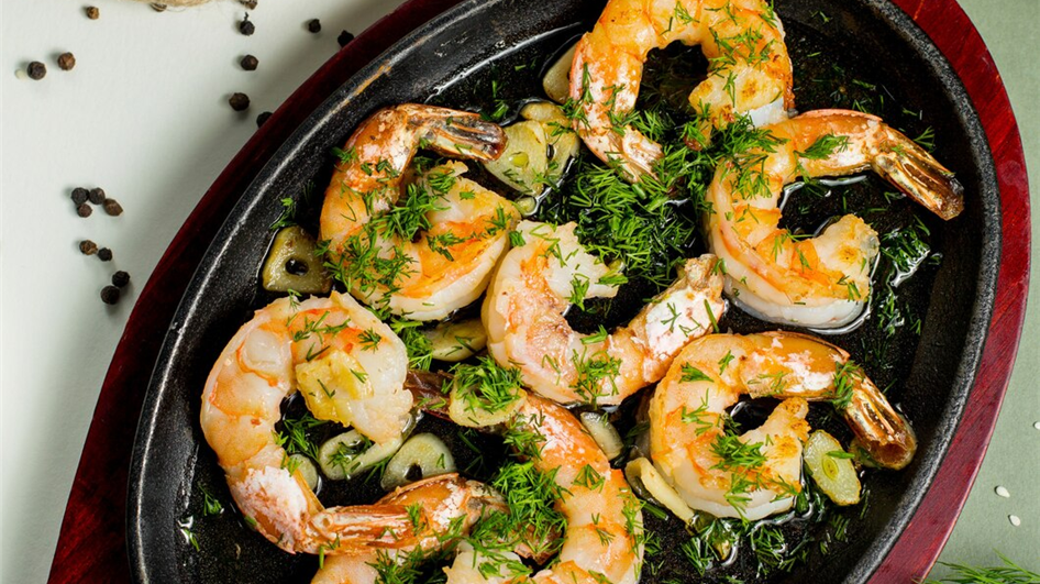 سالمون نروژی؛ طلای صورتی دریاهای شمال و یکی از مغذی‌ترین ماهی‌های جهان