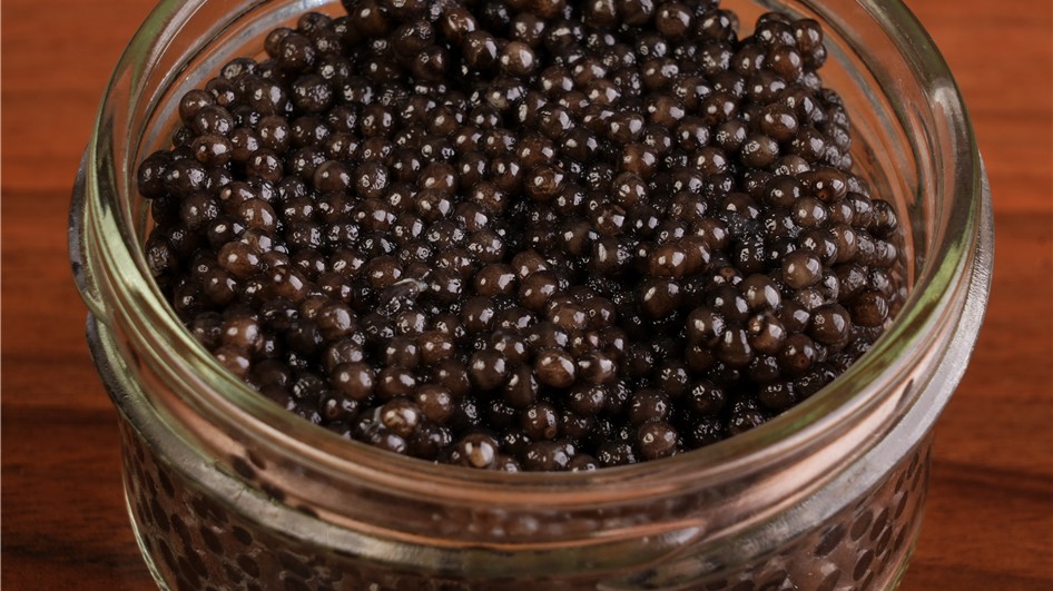 خاویار ایرانی؛ میراثی لوکس از دل آب‌های خزر